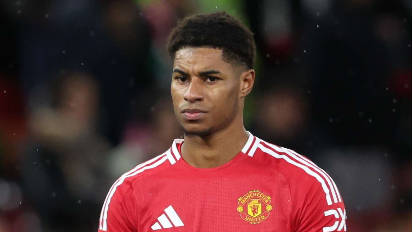 这也为其他 这也为其他